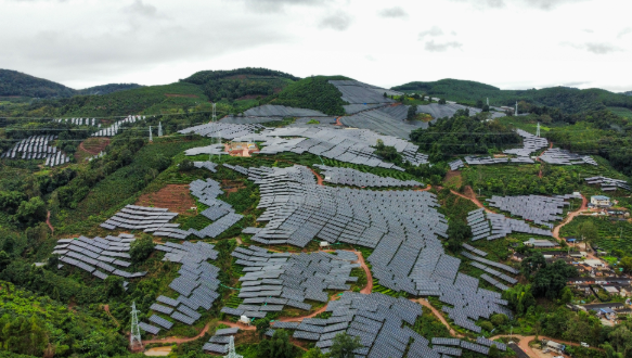 云南省首個“茶光互補”山地光伏項目并網發電